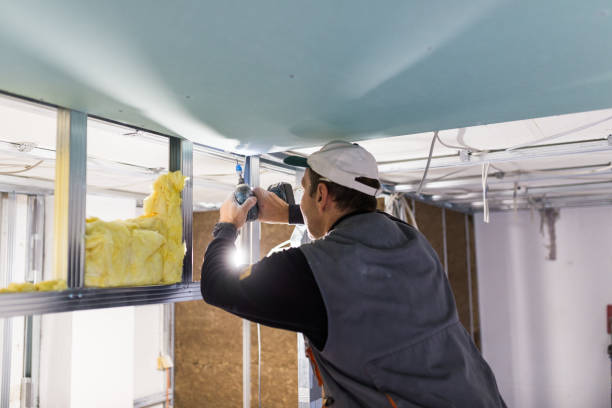 Best Energy-efficient Insulation  in Meyersdale, PA