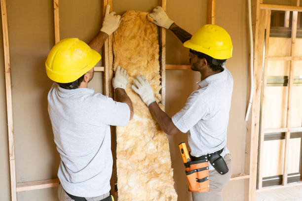 Best Cellulose Insulation  in Meyersdale, PA